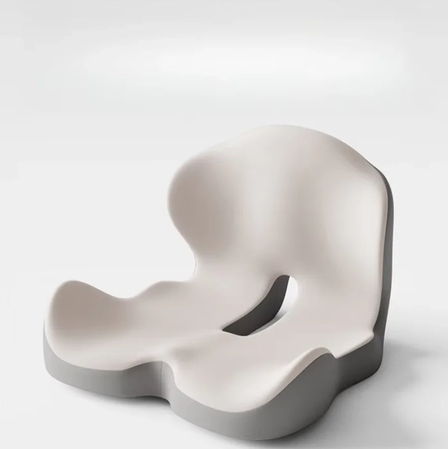 Seat Cushion with Backrest