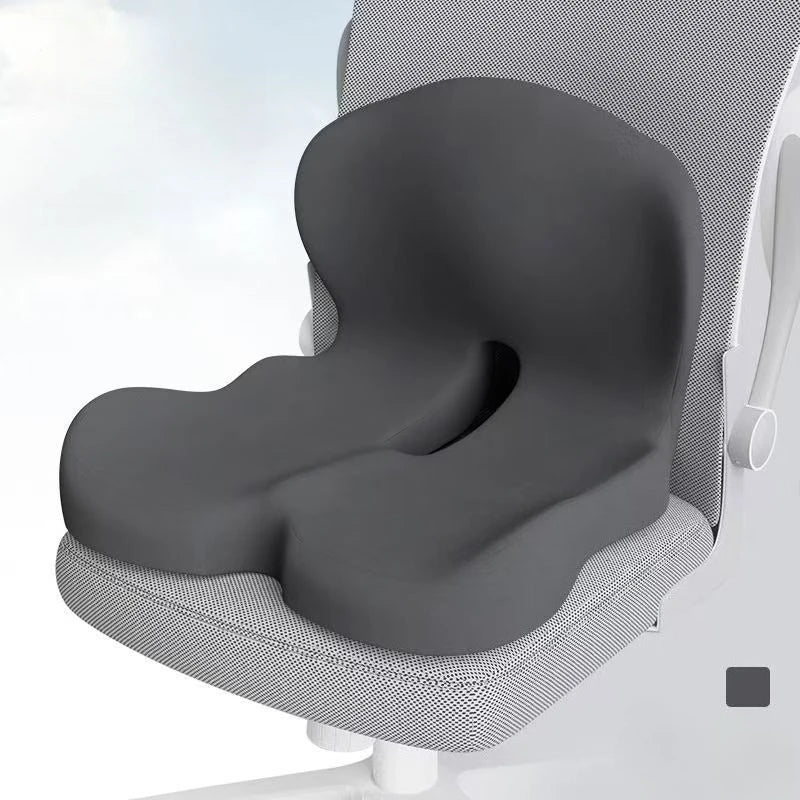 Seat Cushion with Backrest