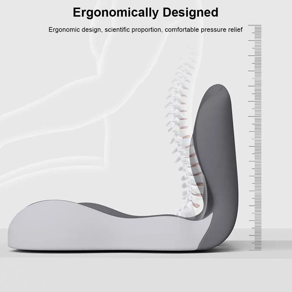 Seat Cushion with Backrest