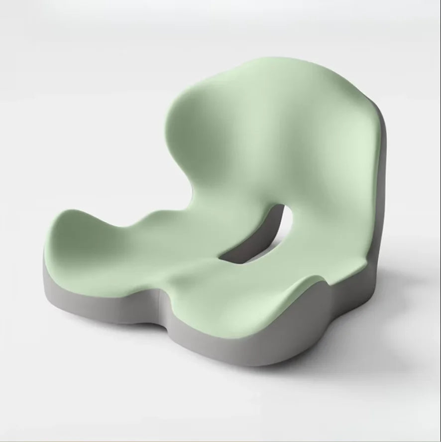 Seat Cushion with Backrest